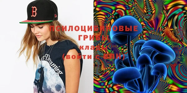 таблы Алексин